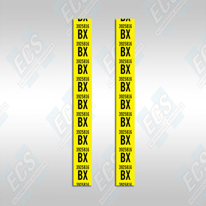 1967-69 Camaro: Rear Leaf Spring Decal (Multiple Options!)