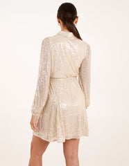 Sequin Shirt Dress