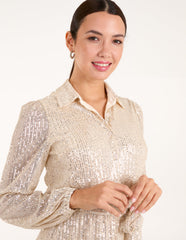 Sequin Shirt Dress