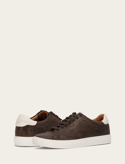 Astor Low Lace - Chocolate - Pair