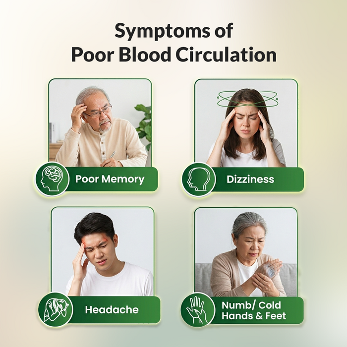 An informational graphic titled 'Symptoms of Poor Blood Circulation' showing four panels with people experiencing poor memory, dizziness, headache, and numbness/cold hands and feet, each labeled with a green icon and text box on a pale beige background.
