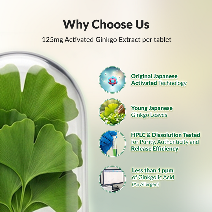 Promotional graphic for ginkgo extract tablets with a large green ginkgo leaf under a dome on the left and text on the right reading 'Why Choose Us' and listing benefits such as original Japanese activated technology, young Japanese ginkgo leaves, HPLC and dissolution testing, and less than 1 ppm of ginkgolic acid.