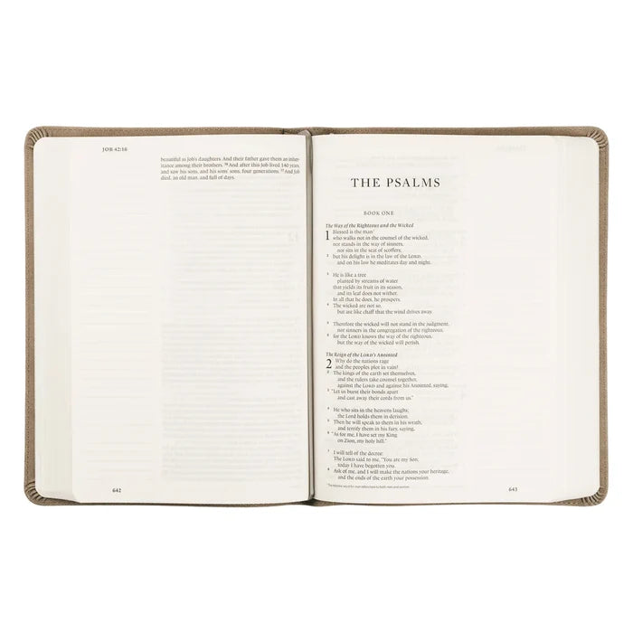 ESV Large Print Journaling Bible : Nara Theme