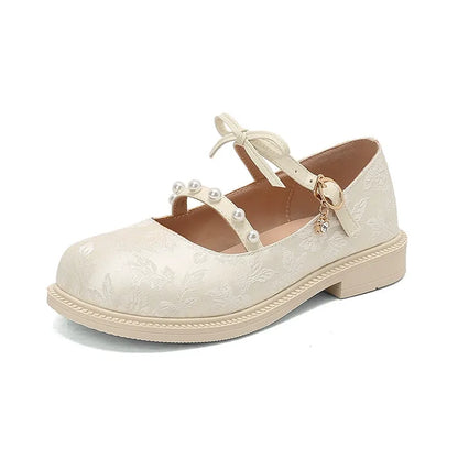 Chunky Heel Mary Jane Shoes